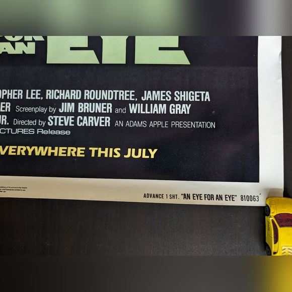 Chuck Norris Movie Poster - Picture 4 of 11